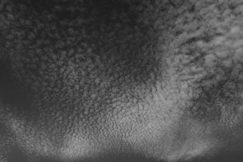 July3025A4602AltCum2