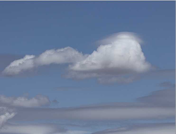 July3025B4513Pileus2