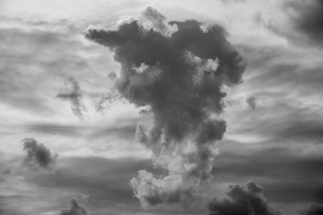 2025-09 Wissenkerke (34)-1