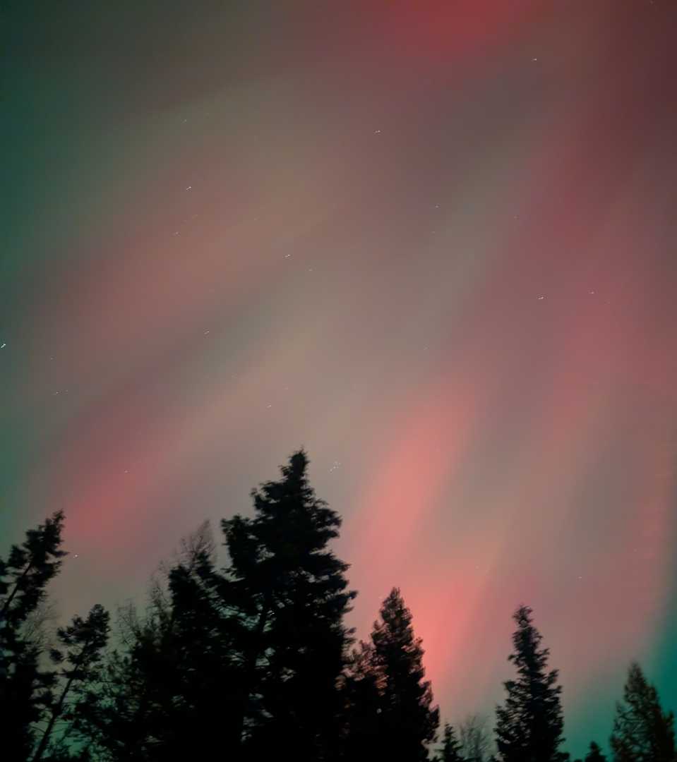 PXL_20251112_044212652.NIGHT