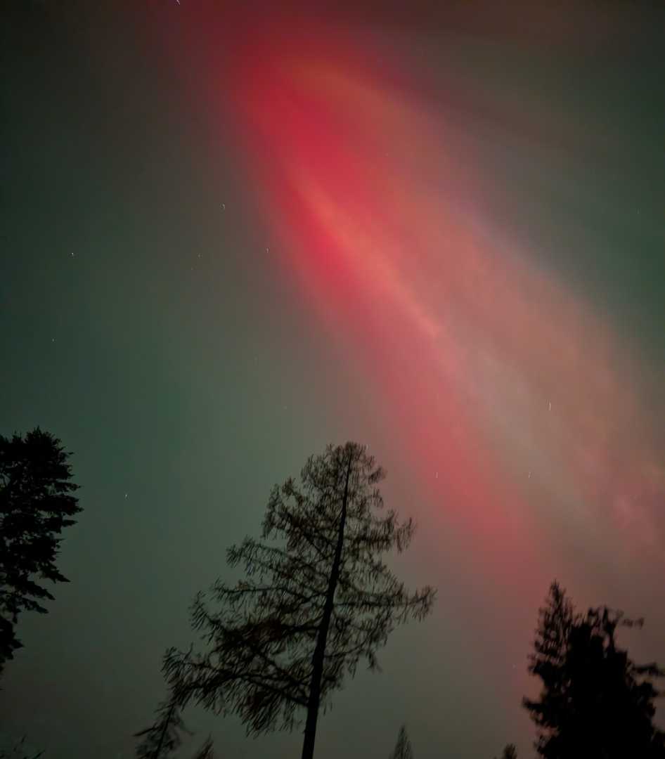 PXL_20251112_044003626.NIGHT