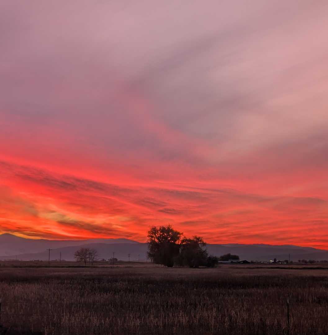 PXL_20251022_005345879.MP