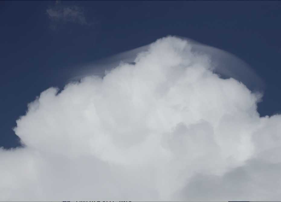 Aug3022B8330Pileus2