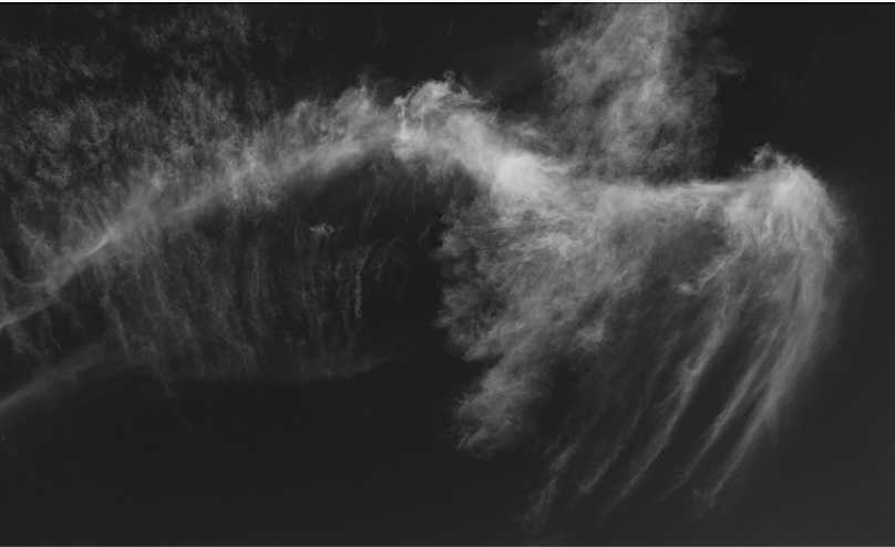 Mar-Nov24E4010BWart2