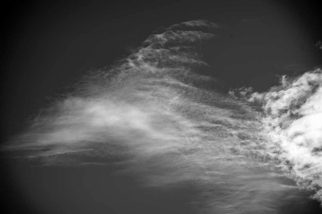 2025-10 Charigny (215)-1