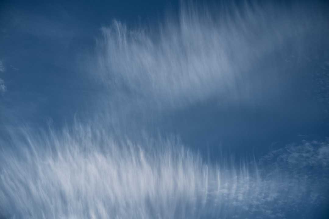 2025-10 Charigny (300)-1