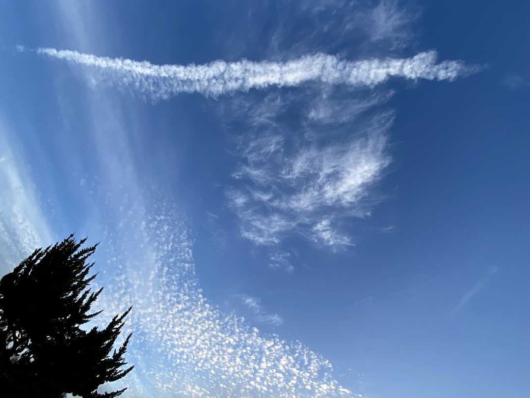 IMG_4122_Shaking the Snow of His Hat Brim