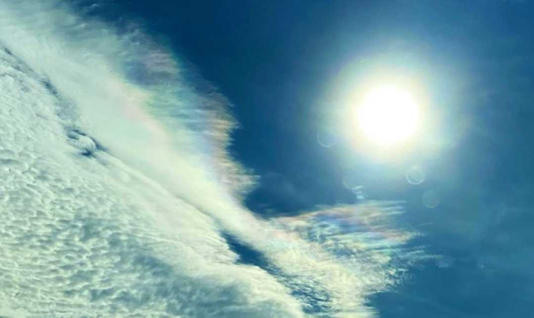 IMG_9895_Morning Chill with Iridesence