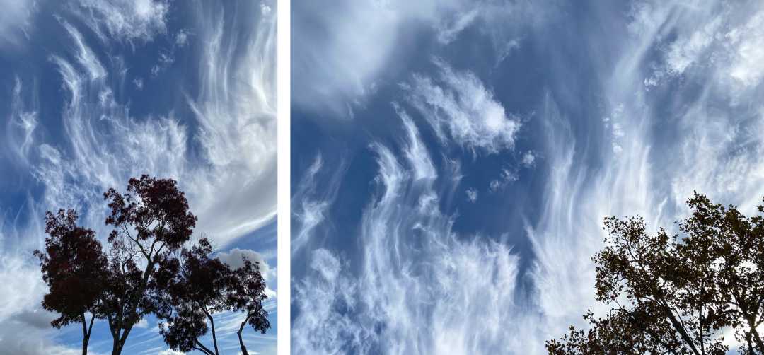 IMG_9715_Paint Brushes