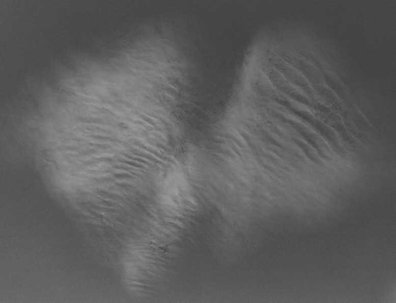 Mar-Nov24C3845UndFly