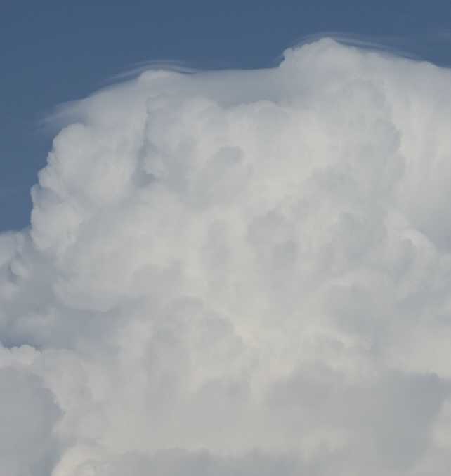 Aug3022B8263Pileus2