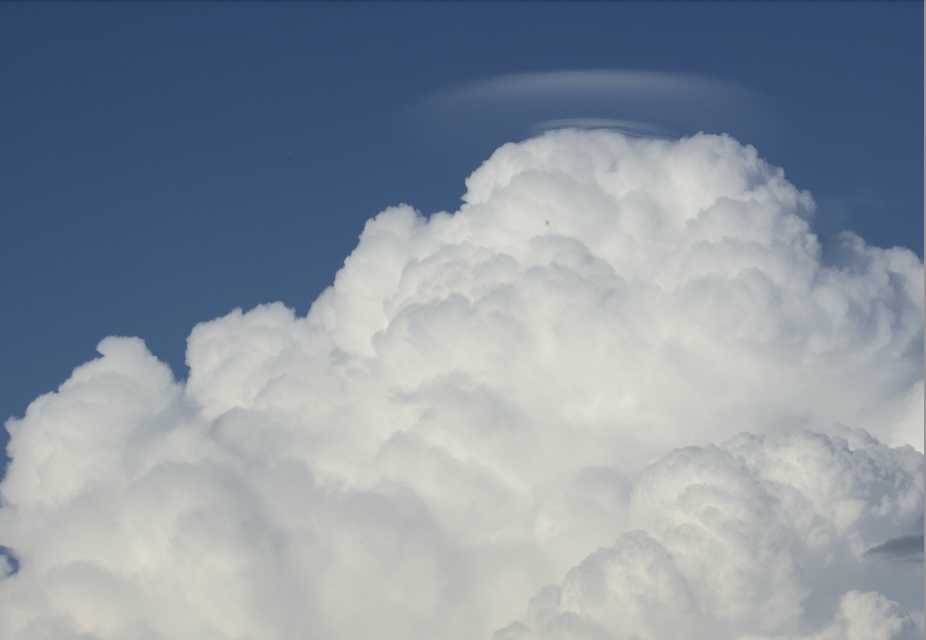 Sept2422B8396Pileus2
