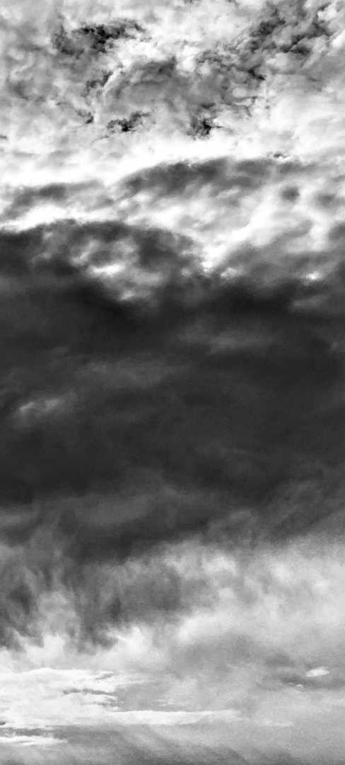 IMG_0076_BW_Weather Watcher