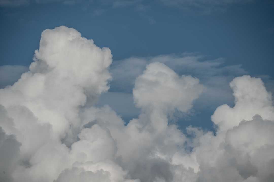 2025-09 Wissenkerke (27)-1