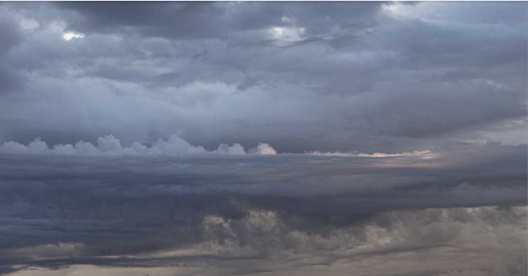 Sept3025B4713pinkasp2