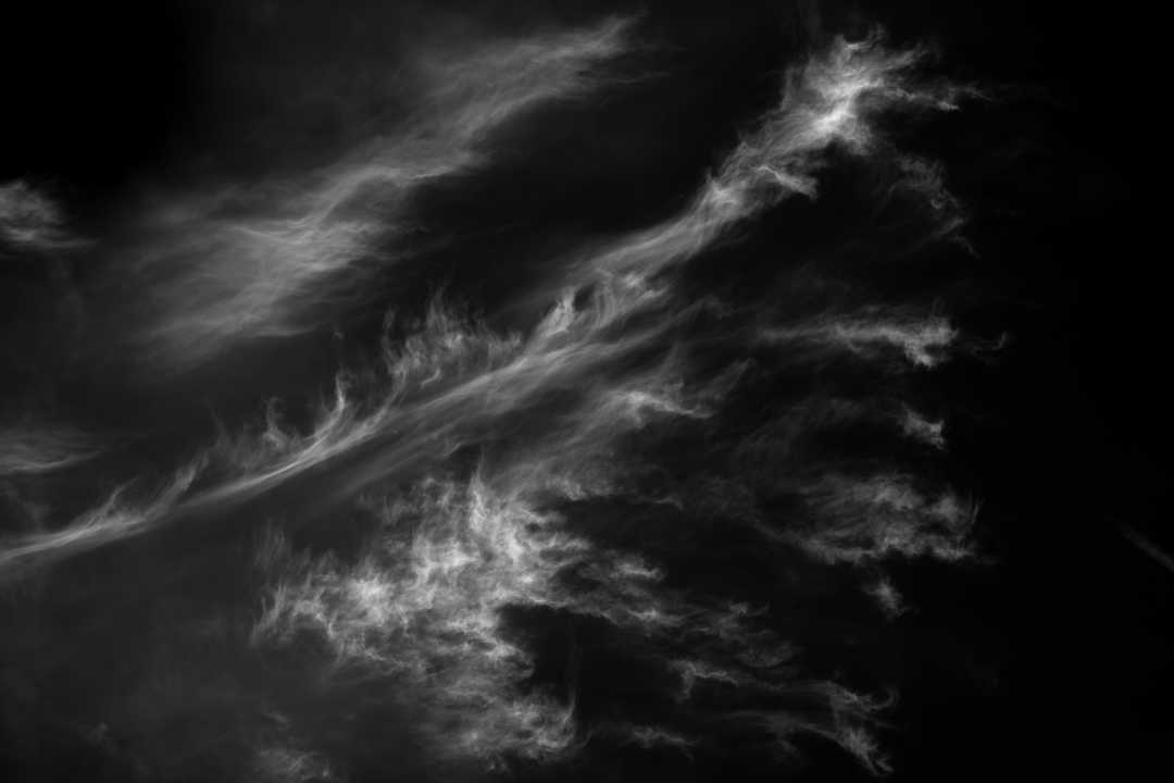 2025-10 Charigny (96)-1