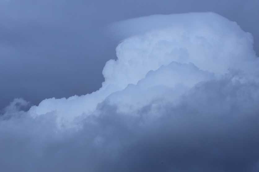 nov3025b4742Pileus2