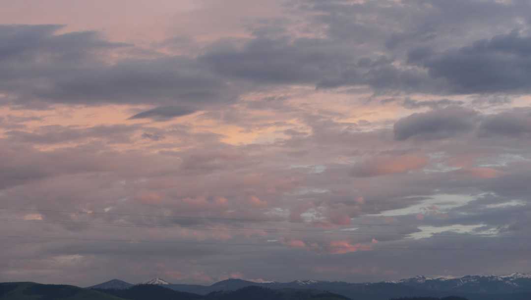 P1081092 (2)