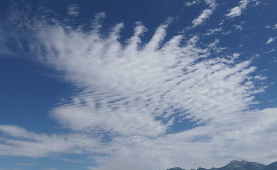 P1080107 (2)