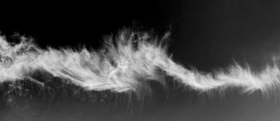 IMG_0603_BW_Long-nosed SomethingOrOther
