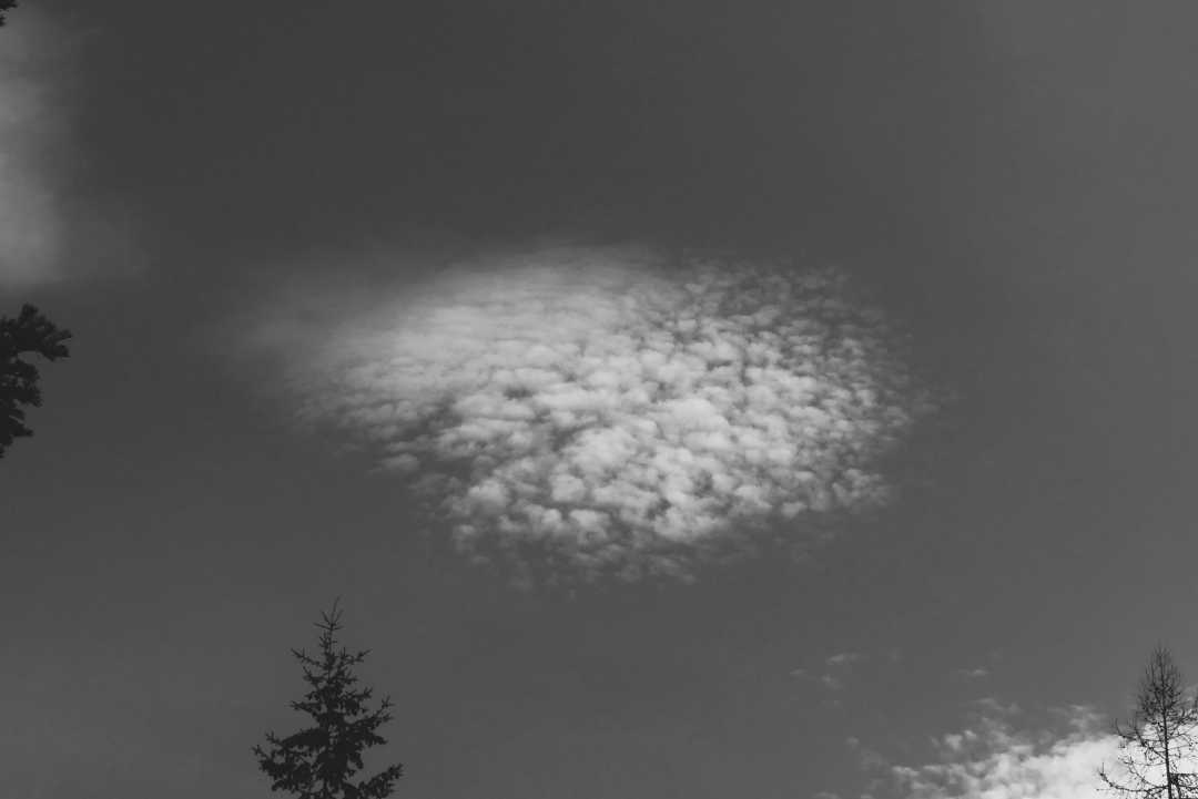 P1080780
