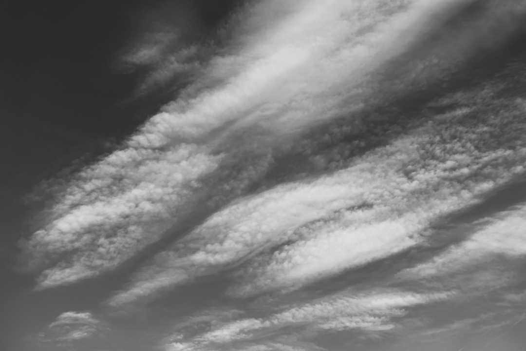P1033456